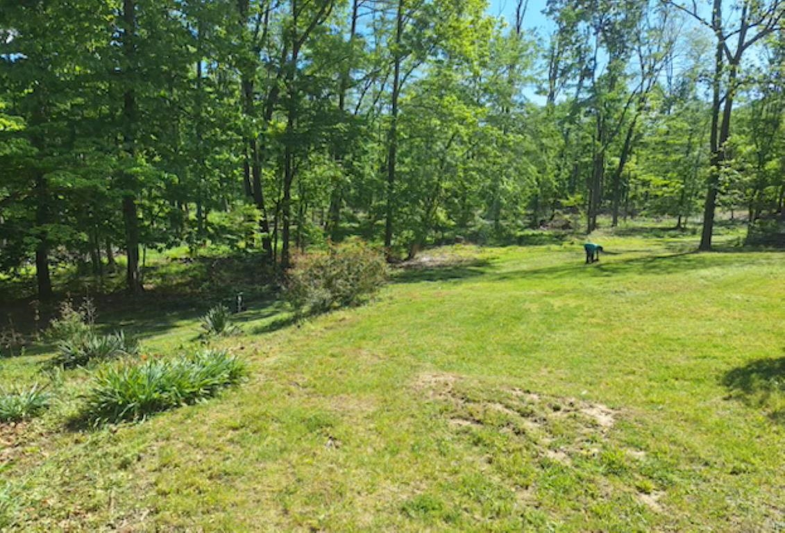 2219 Hewitt Road Swoope, VA 24479 - Photo 18 of 53