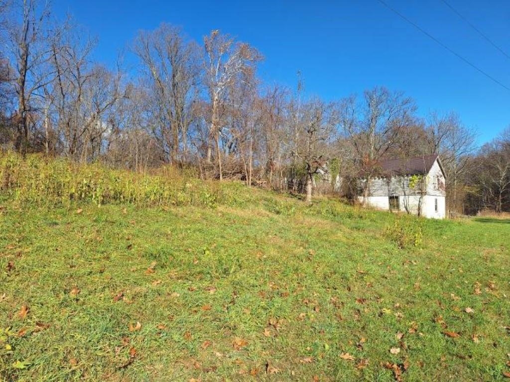 2219 Hewitt Road Swoope, VA 24479 - Photo 21 of 53 a backyard of a house with trees all around