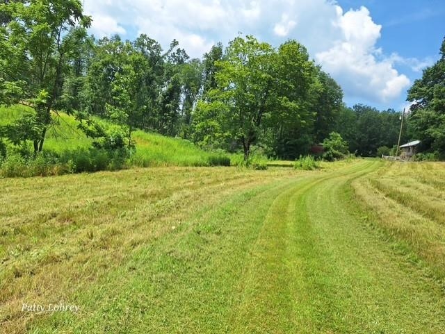 2219 Hewitt Road Swoope, VA 24479 - Photo 43 of 53
