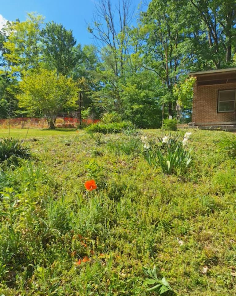 2219 Hewitt Road Swoope, VA 24479 - Photo 48 of 53