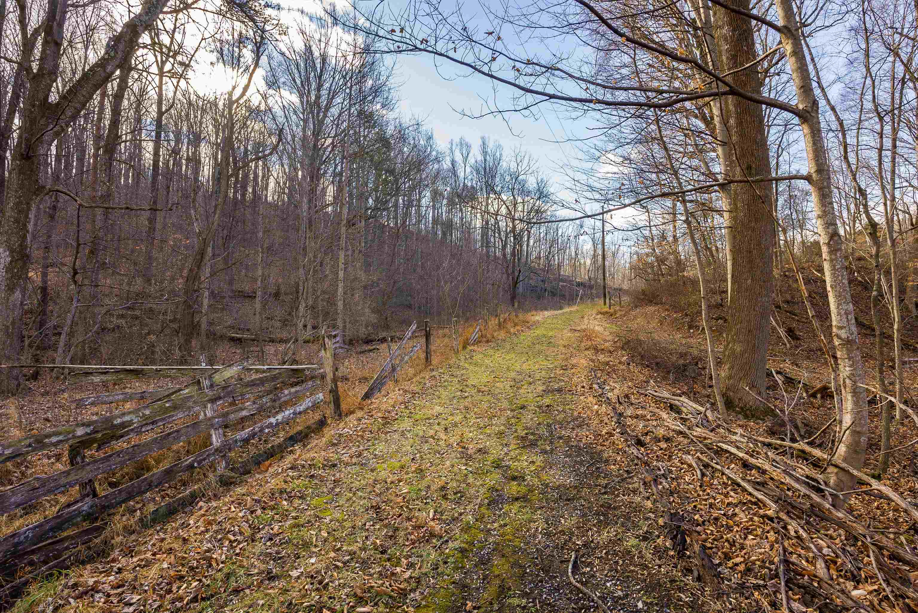2219 Hewitt Road Swoope, VA 24479 - Photo 49 of 53 a view of a yard with large trees