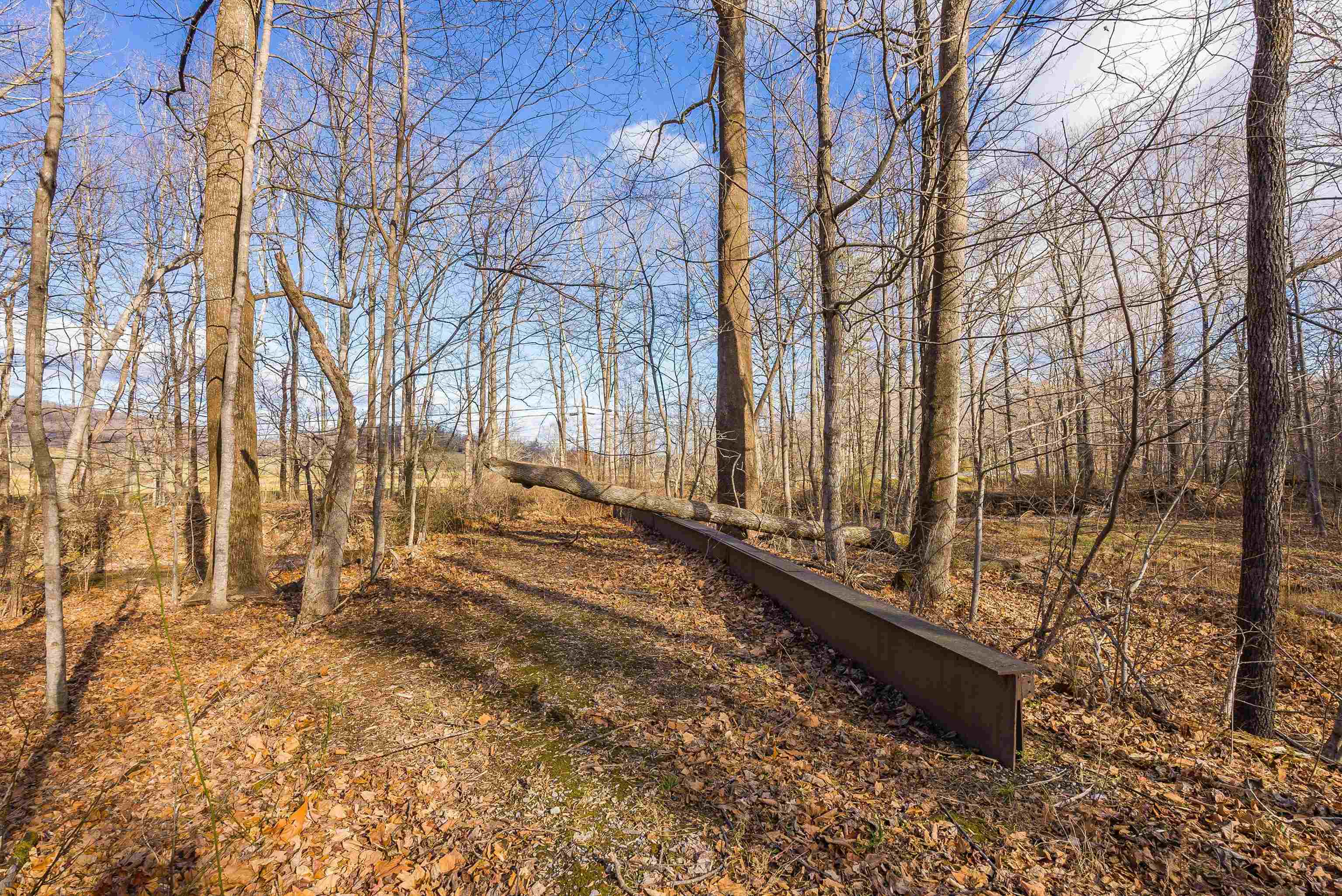 2219 Hewitt Road Swoope, VA 24479 - Photo 51 of 53 a view of a yard with trees