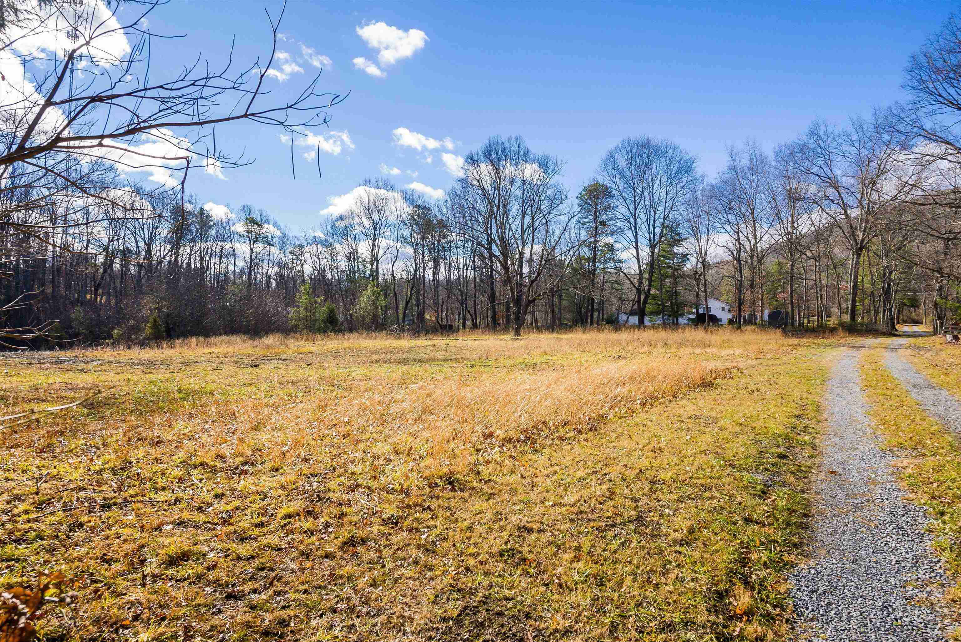 2219 Hewitt Road Swoope, VA 24479 - Photo 53 of 53 a view of swimming pool with outdoor space