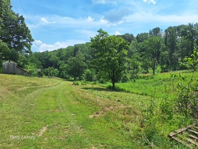 2219 Hewitt Road Swoope, VA 24479 - Photo 7 of 53 Stroll to the Branch