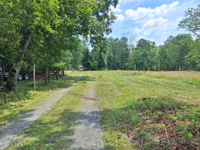 2219 Hewitt Road Swoope, VA 24479 - Photo 8 of 53 a view of outdoor space with trees all around