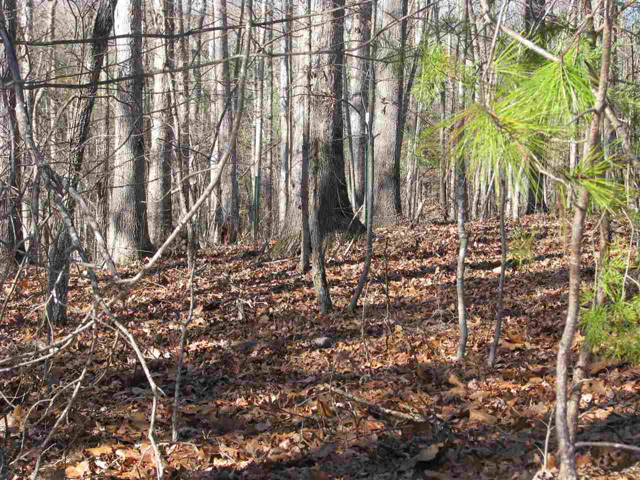 0 Vienna Road Gaffney, SC 29340 - Photo 4 of 5 Gallery Image 4