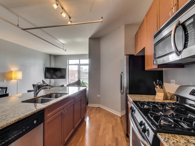 511 West Division Street, Unit 508 Chicago, IL 60610 - Photo 14 of 15