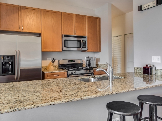 511 West Division Street, Unit 508 Chicago, IL 60610 - Photo 9 of 15