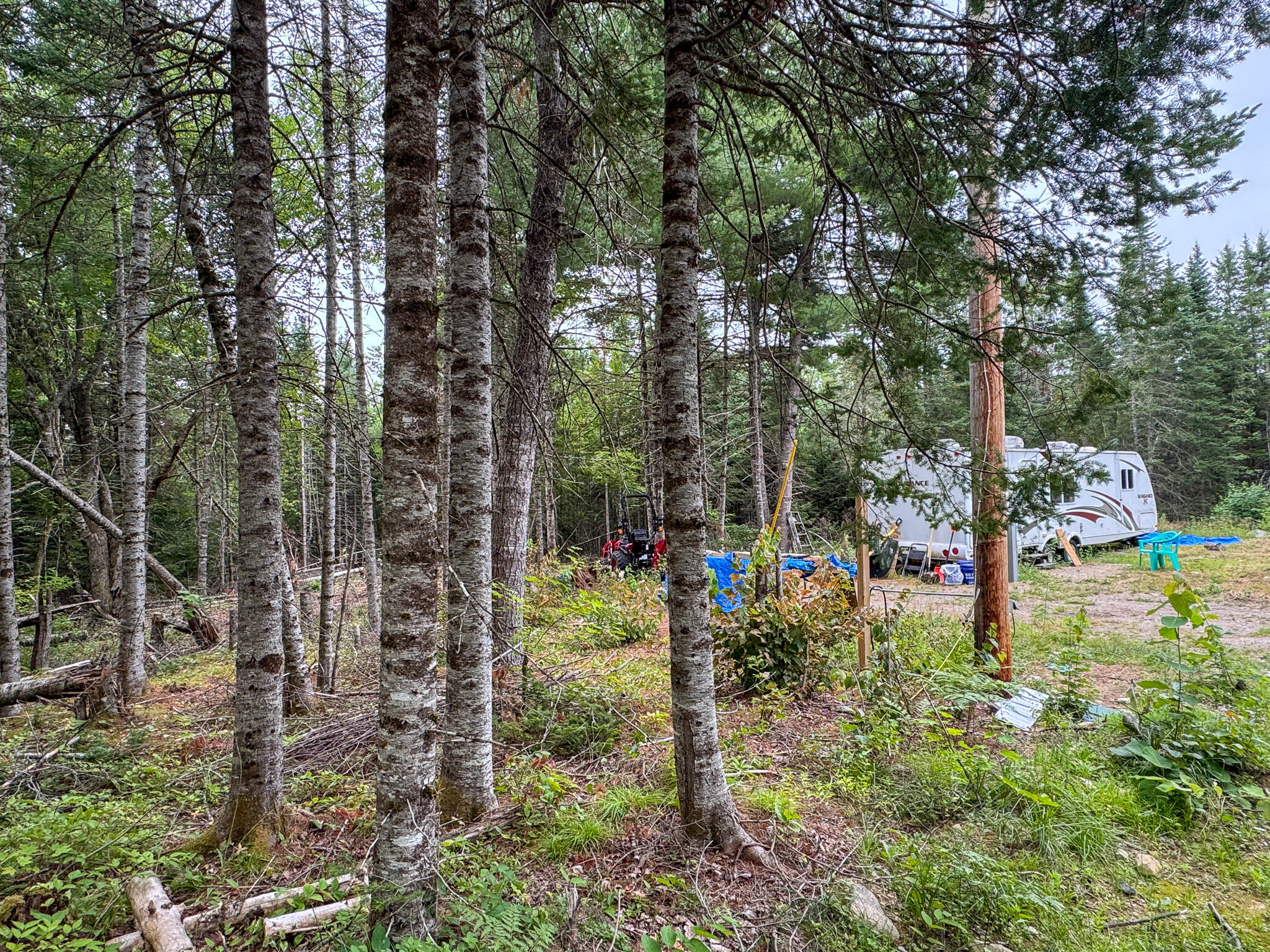 191 Old Winn Road Springfield, ME 04487 - Photo 17 of 19 17