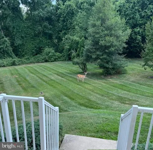 a view of a wooden fence