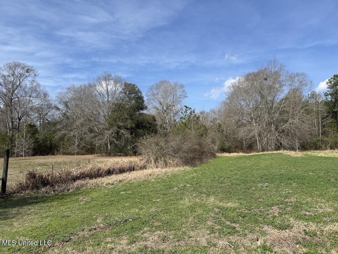 283 Hester Loop Perkinston, MS 39573 - Photo 2 of 10 IMG_4110