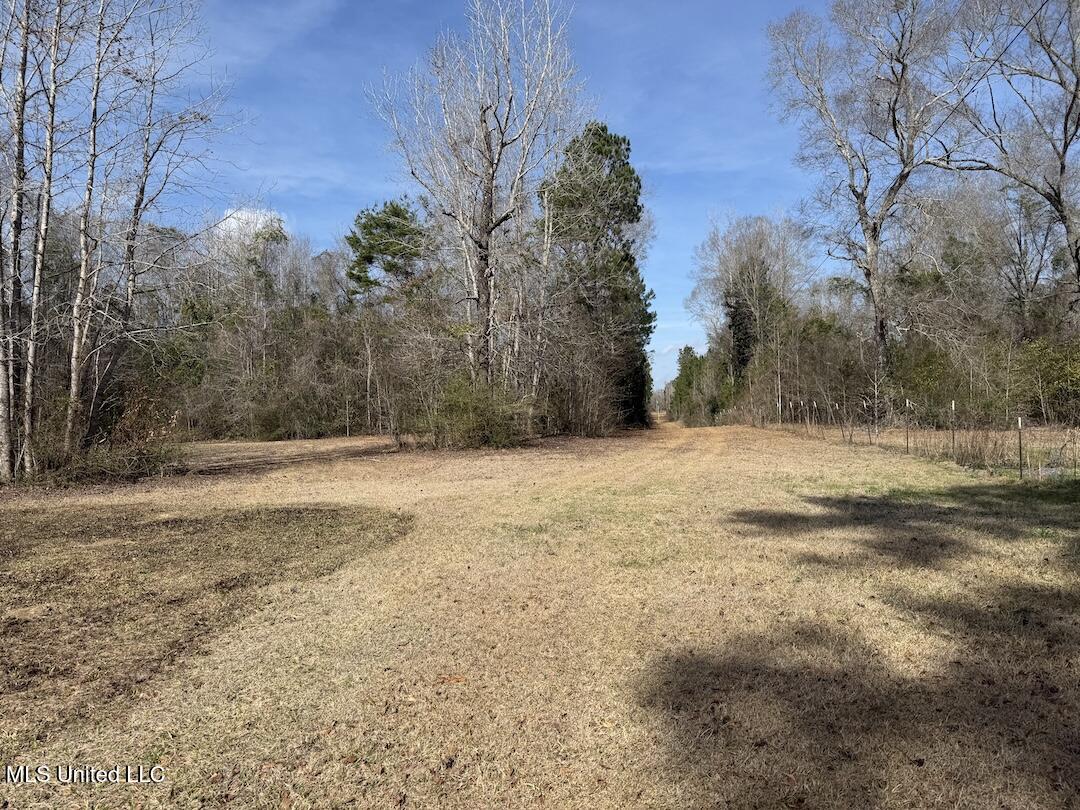 283 Hester Loop Perkinston, MS 39573 - Photo 5 of 10 IMG_4107