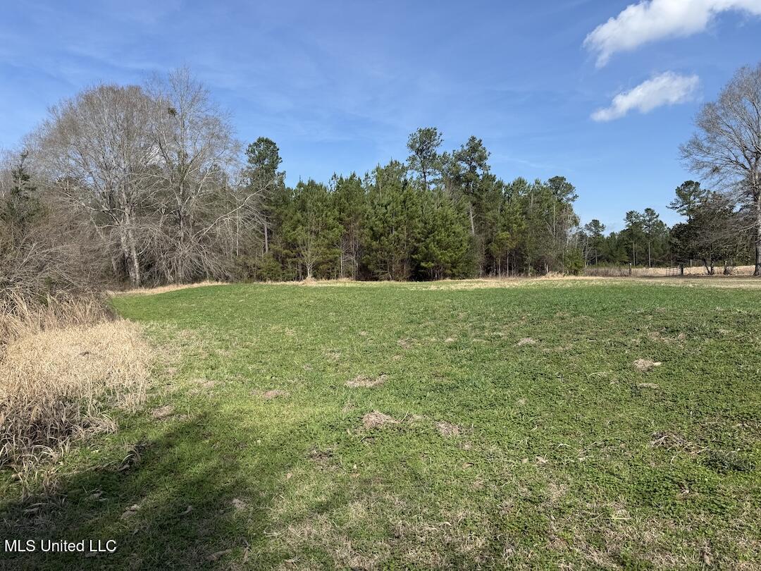 283 Hester Loop Perkinston, MS 39573 - Photo 6 of 10 IMG_4108