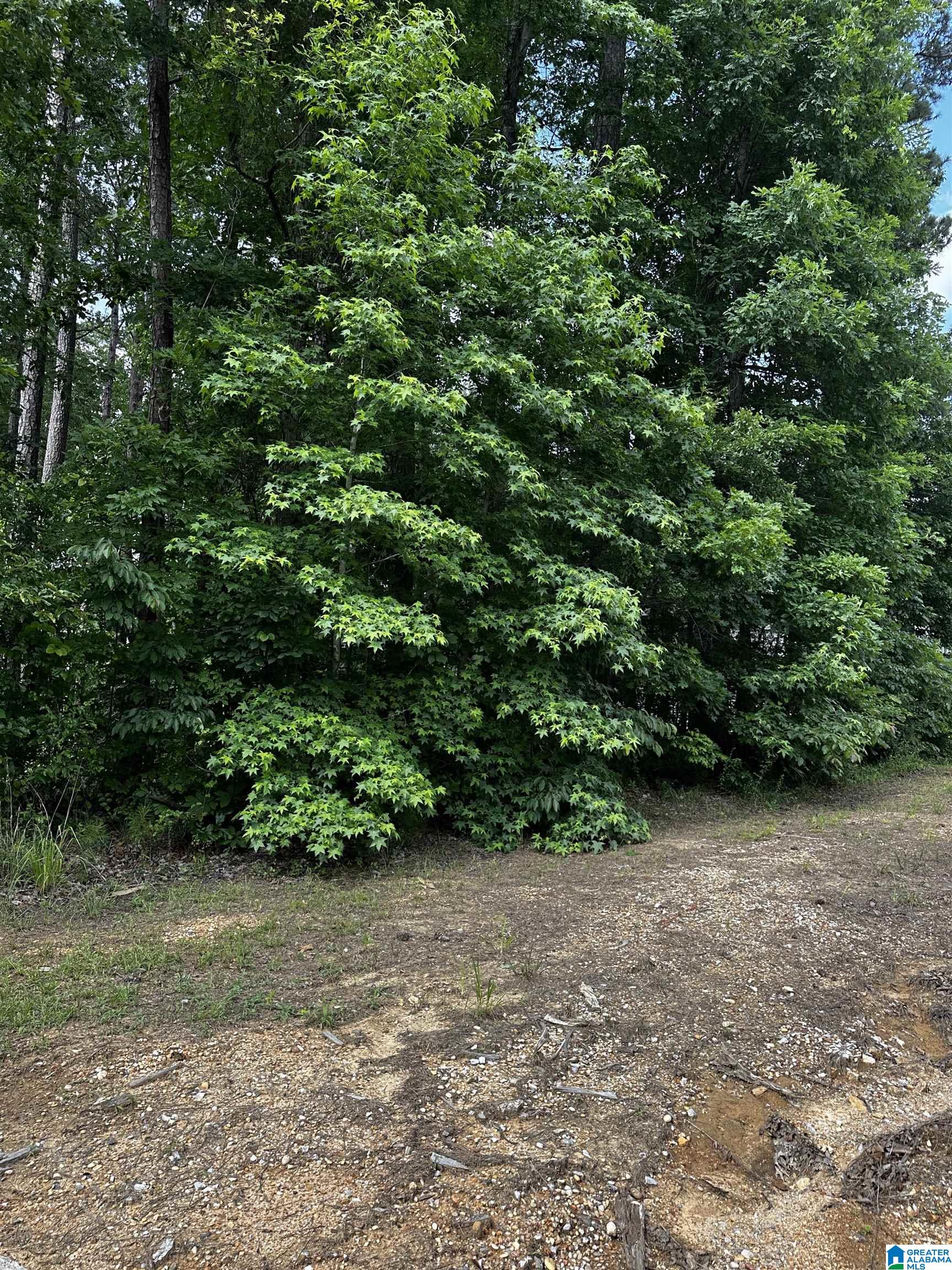 Sandy Drive, Unit 69 McCalla, AL 35111 - Photo 4 of 4