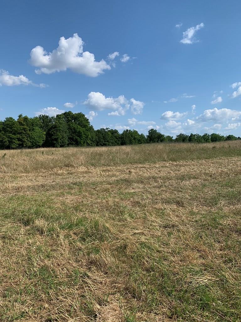 Lot 3 South Co Road Headland, AL 36345 - Photo 9 of 11