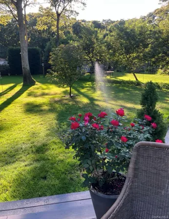 a view of a swimming pool with a garden