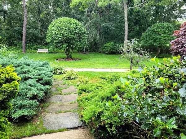 a view of a garden with a tree