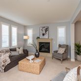 a living room with furniture potted plant and a fireplace