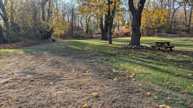 a view of a yard with a tree