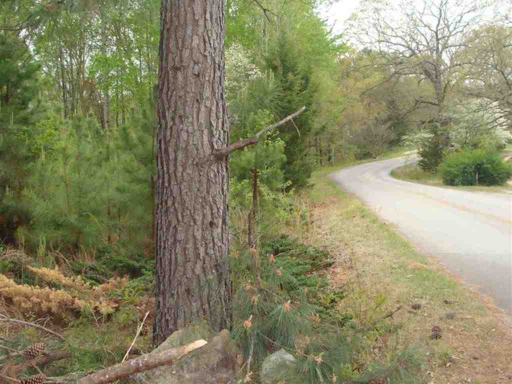 155 McMahan Road West Union, SC 29696 - Photo 3 of 13 Gallery Image 3