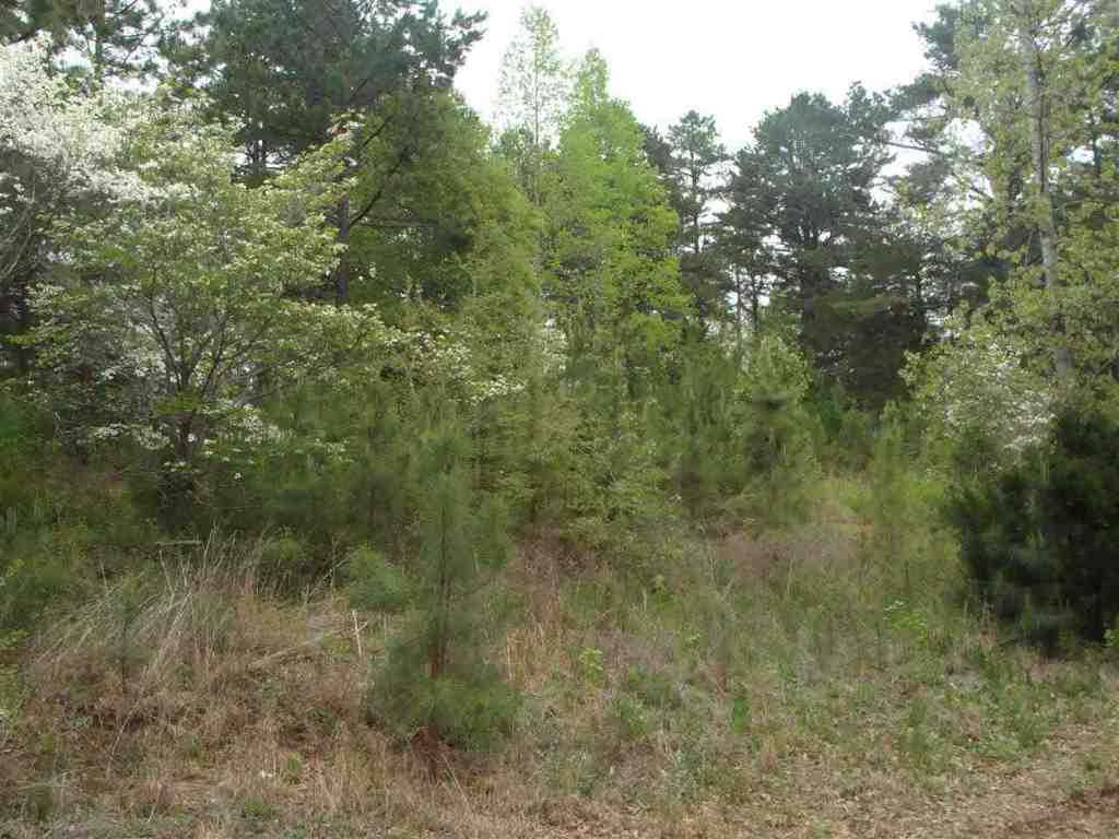 155 McMahan Road West Union, SC 29696 - Photo 5 of 13 Gallery Image 5