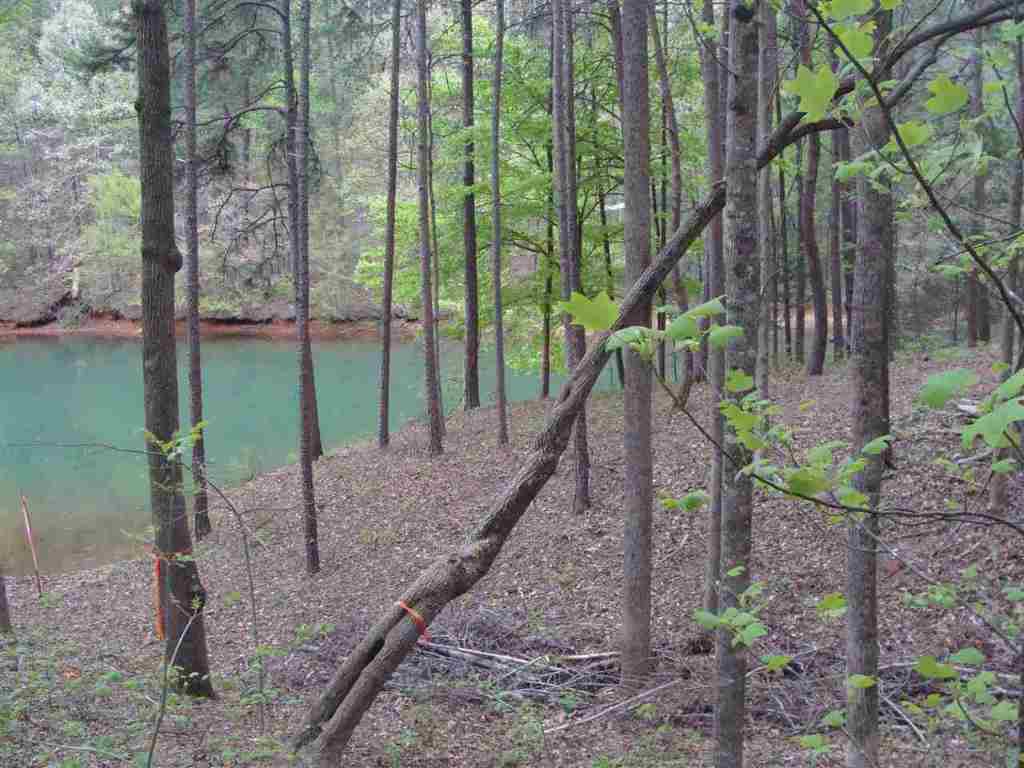 155 McMahan Road West Union, SC 29696 - Photo 9 of 13 Gallery Image 9