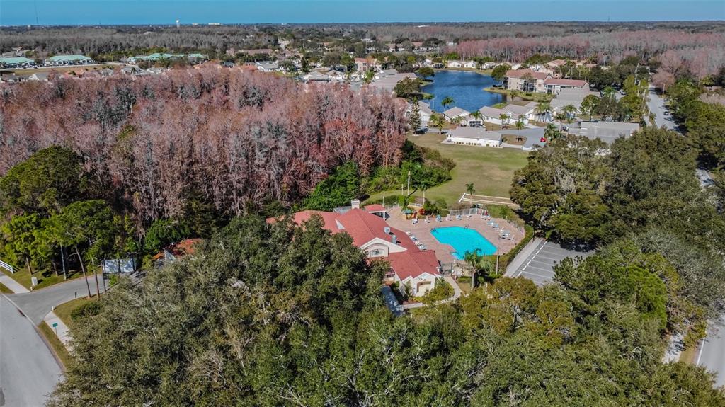 4124 Randolph Street New Port Richey, FL 34653 - Photo 73 of 84 Gallery Image 73