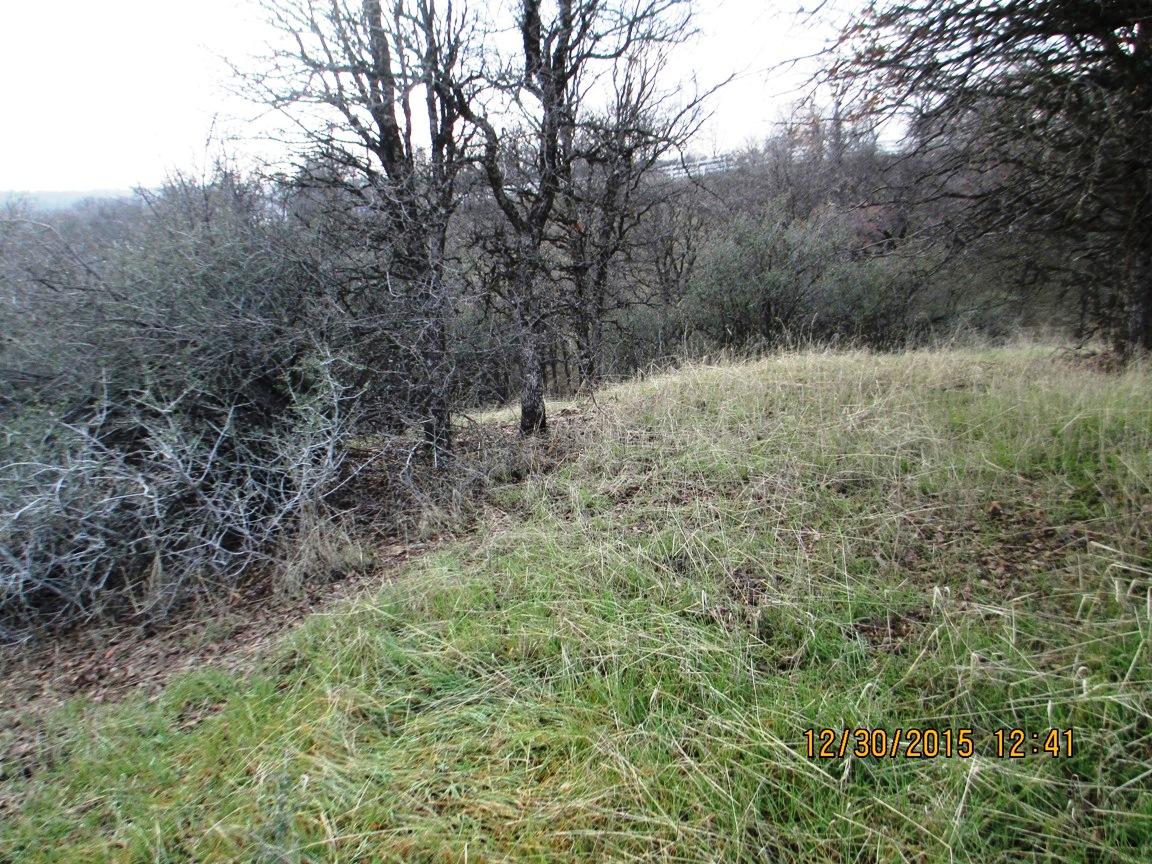 18645 Quail Ridge Road Cottonwood, CA 96022 - Photo 4 of 7 089