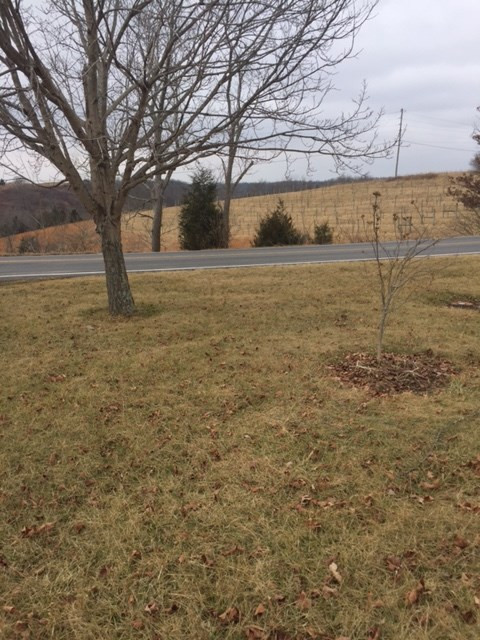 1660 Georgetown Road Owenton, KY 40359 - Photo 3 of 9