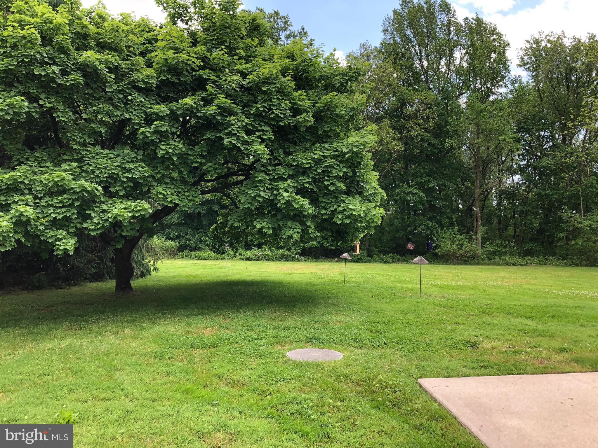 155 Newkirk Station Road Elmer, NJ 08318 - Photo 16 of 21 Backyard