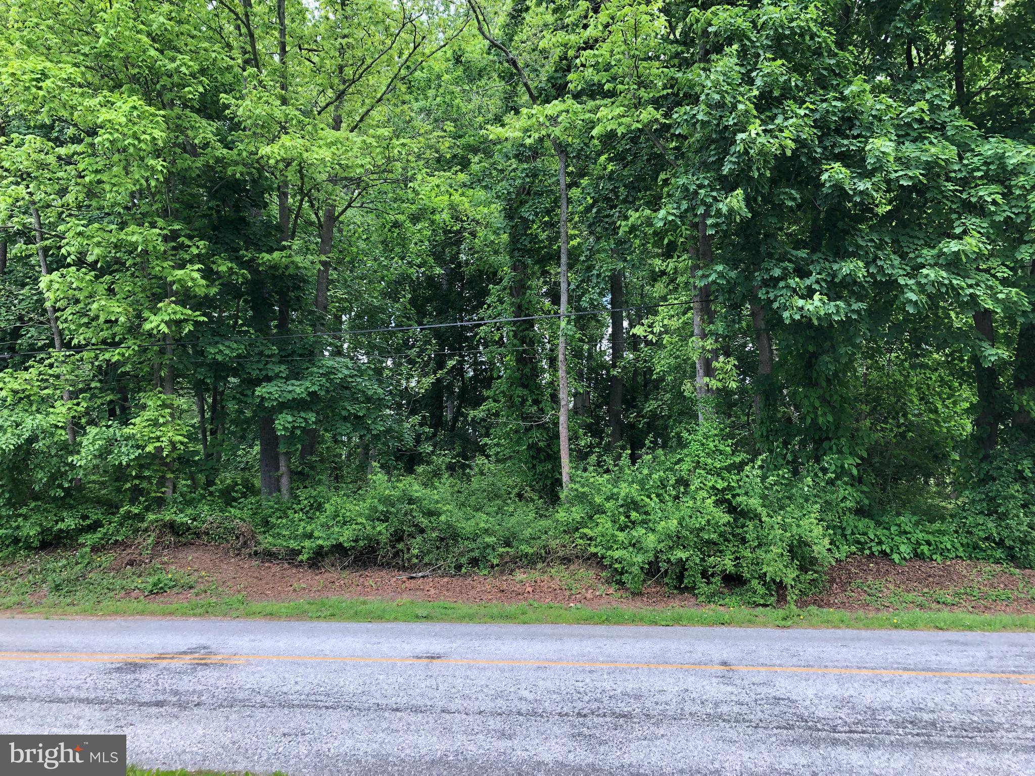 155 Newkirk Station Road Elmer, NJ 08318 - Photo 20 of 21 Across the Street