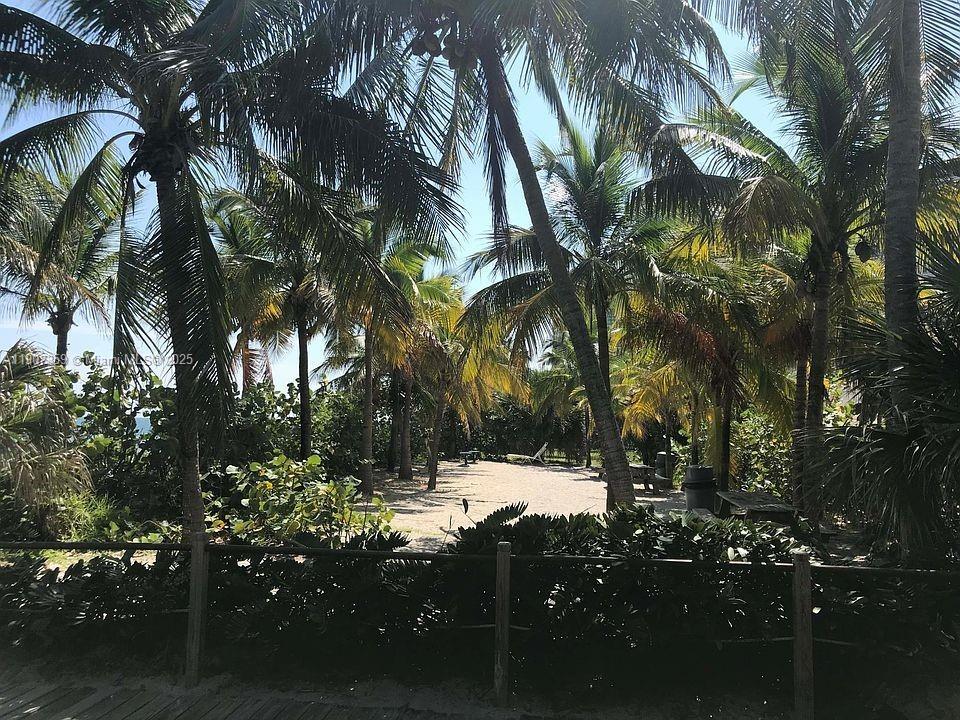 881 Ocean Drive, Unit TH11 Key Biscayne, FL 33149 - Photo 21 of 22 a view of outdoor space with trees