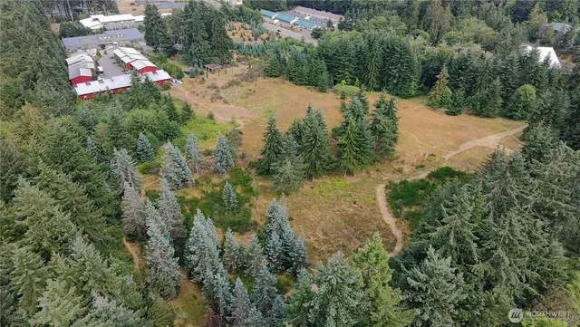 a view of a forest with a yard