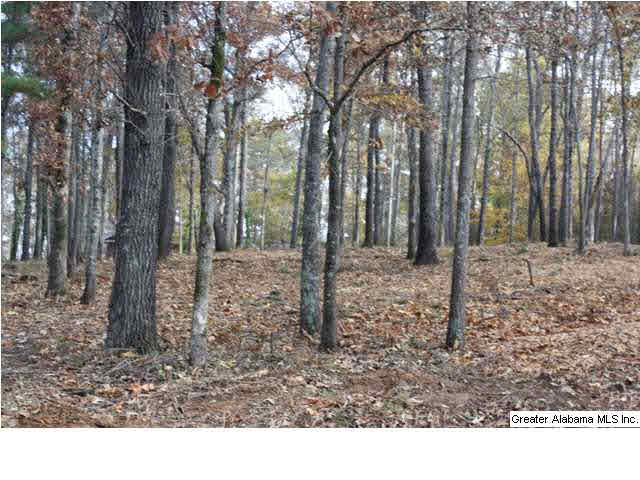 Peyton Place, Unit 3 Weaver, AL 36277 - Photo 4 of 40