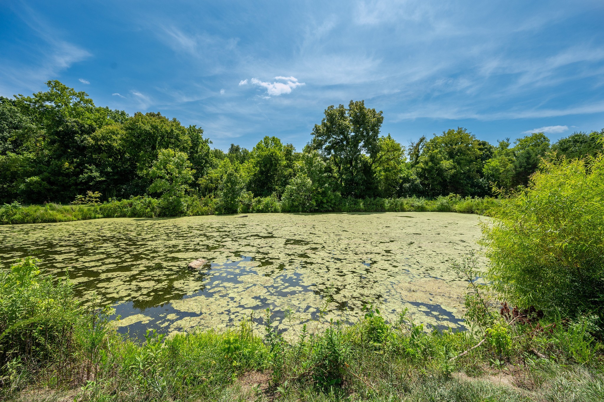 3583 Linwood Road Watertown, TN 37184 - Photo 41 of 43