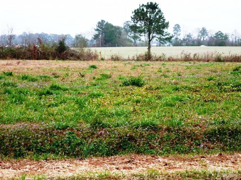 1 Hallsville Road Beulaville, NC 28518 - Photo 2 of 5 Additional Photo