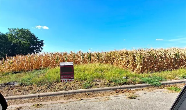 a view of a yard and ocean view