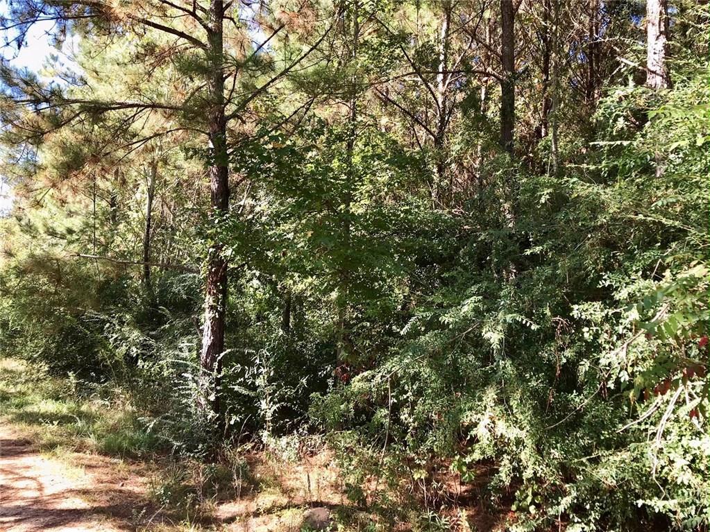 0 David Duncan Road Mount Hermon, LA 70450 - Photo 1 of 10 Gallery Image 1