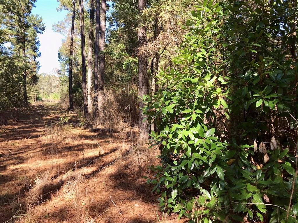 0 David Duncan Road Mount Hermon, LA 70450 - Photo 2 of 10 Gallery Image 2