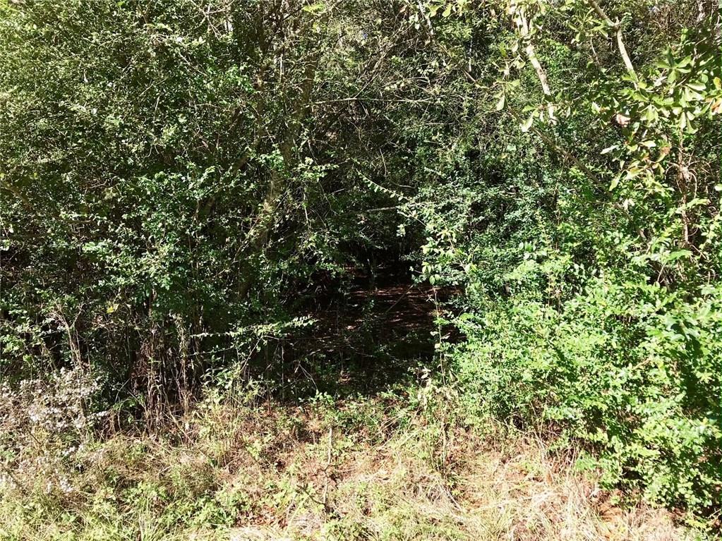 0 David Duncan Road Mount Hermon, LA 70450 - Photo 3 of 10 Gallery Image 3