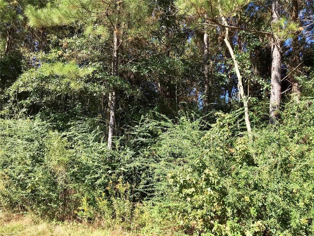 0 David Duncan Road Mount Hermon, LA 70450 - Photo 6 of 10 Gallery Image 6