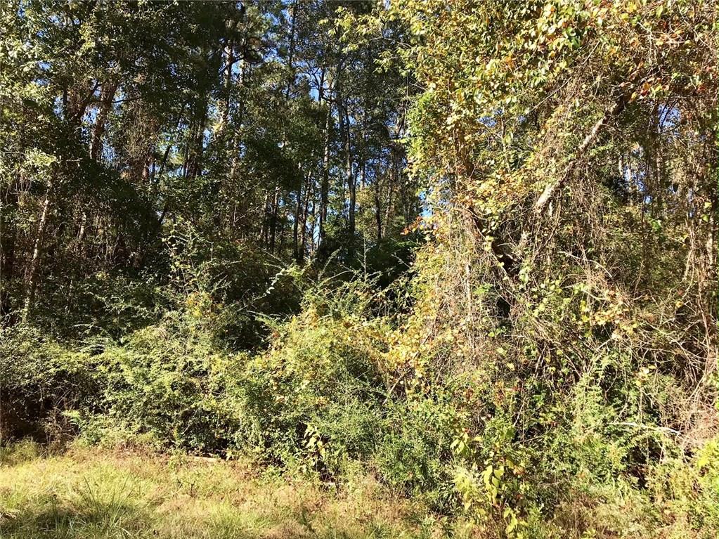 0 David Duncan Road Mount Hermon, LA 70450 - Photo 7 of 10 Gallery Image 7