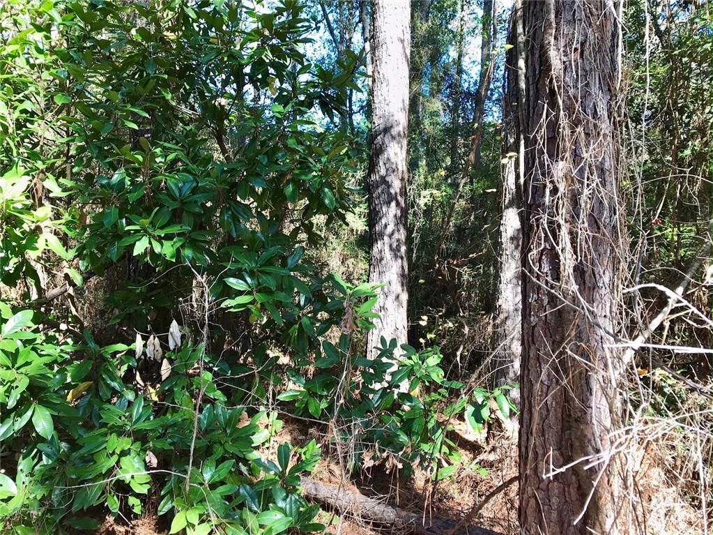 0 David Duncan Road Mount Hermon, LA 70450 - Photo 9 of 10 Gallery Image 9