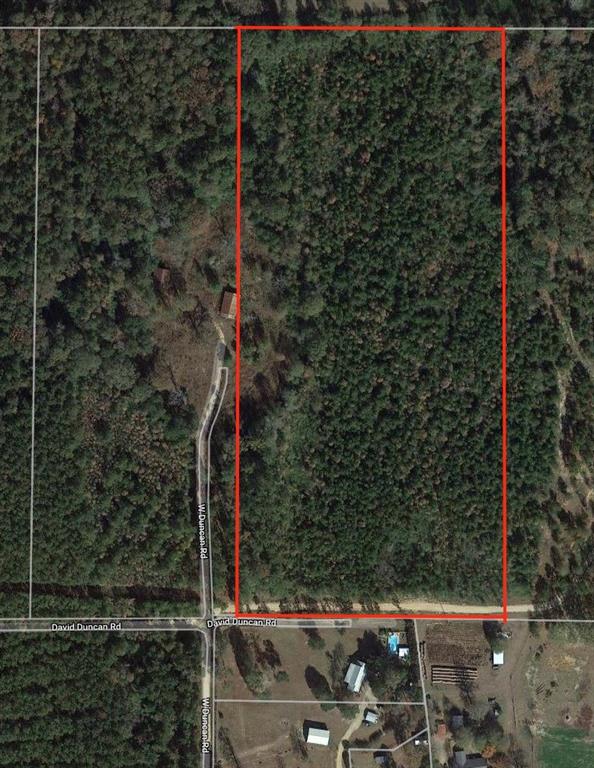 0 David Duncan Road Mount Hermon, LA 70450 - Photo 10 of 10 Gallery Image 10