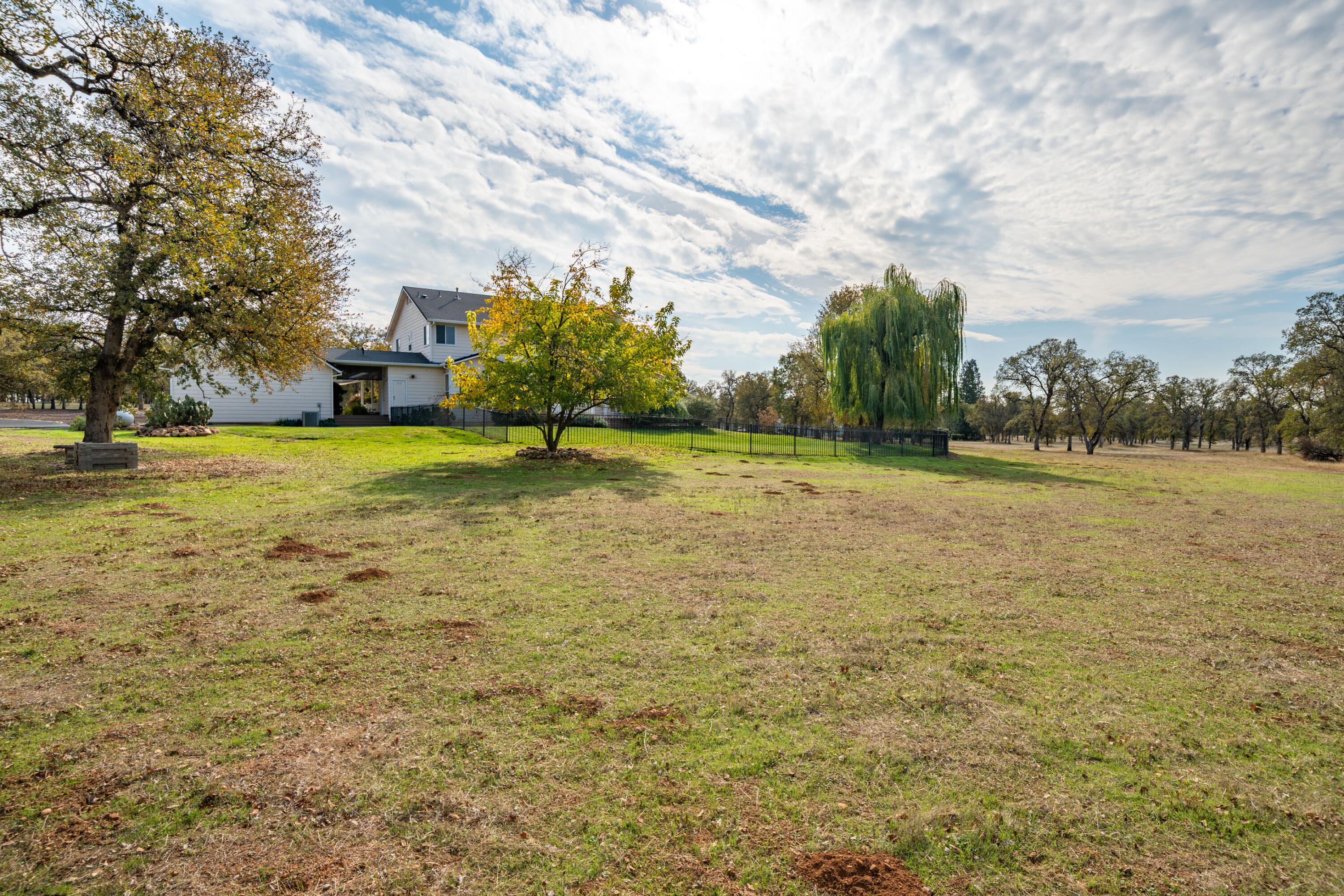 8180 Whispering Oaks Road Redding, CA 96002 - Photo 82 of 100 PASTURE AREA