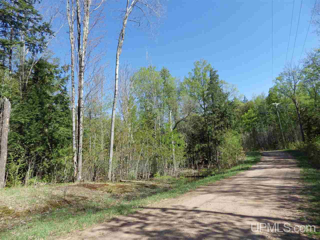 30 Acres Off Grove Street Marquette, MI 49855 - Photo 16 of 22