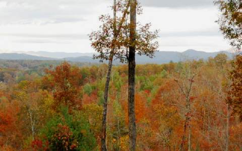 Lot10 Beaver Ridge Road Blairsville, GA 30512 - Photo 1 of 1 Main View