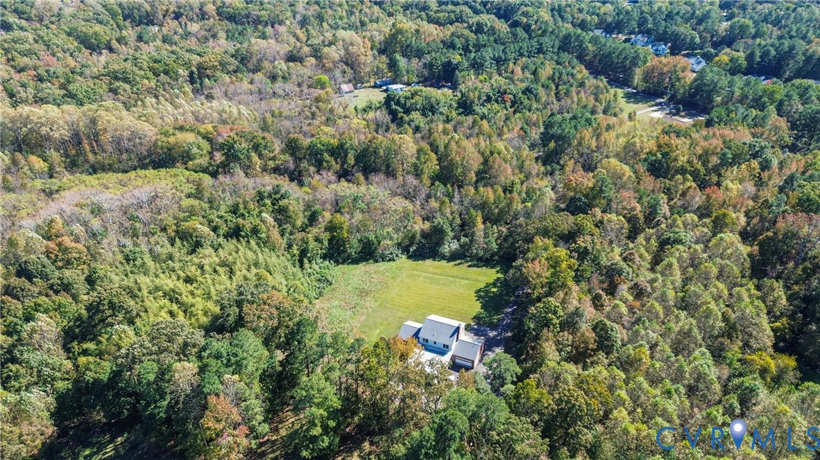 13225 Old Happy Hill Road Chester, VA 23831 - Photo 16 of 24 a view of a forest with a houses