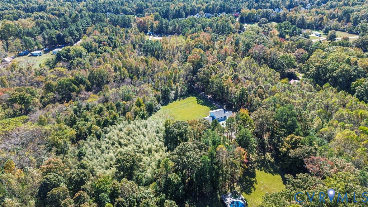 13225 Old Happy Hill Road Chester, VA 23831 - Photo 17 of 24 a view of a forest with a house and a forest