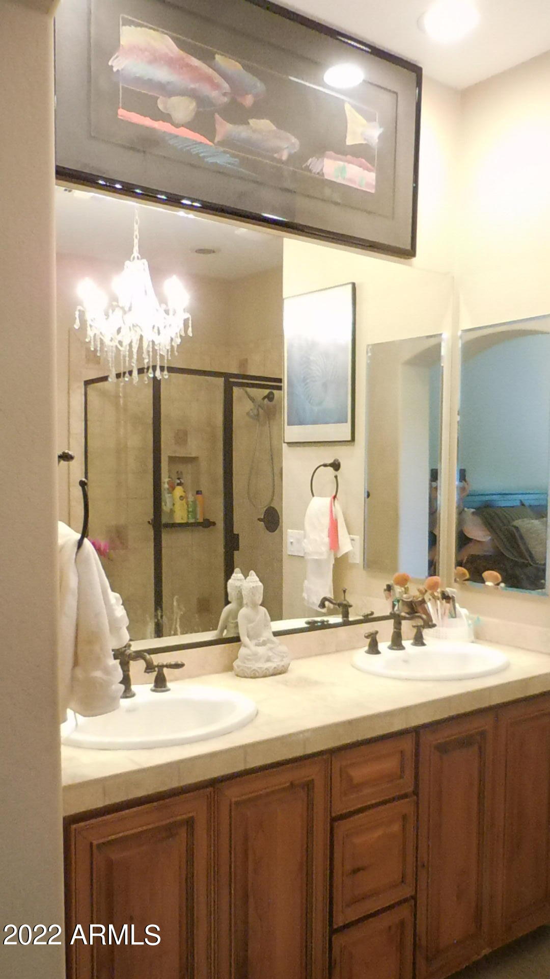 20750 North 87th Street, Unit 2140 Scottsdale, AZ 85255 - Photo 17 of 37 DSCN3184